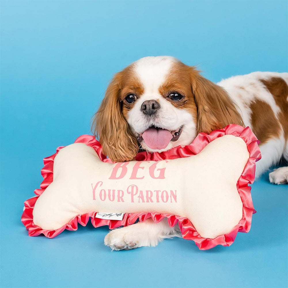 Dog with bone in mouth, enjoying the Doggy Parton Beg Your Parton Bone Plush Toy